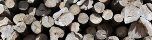 logsforall